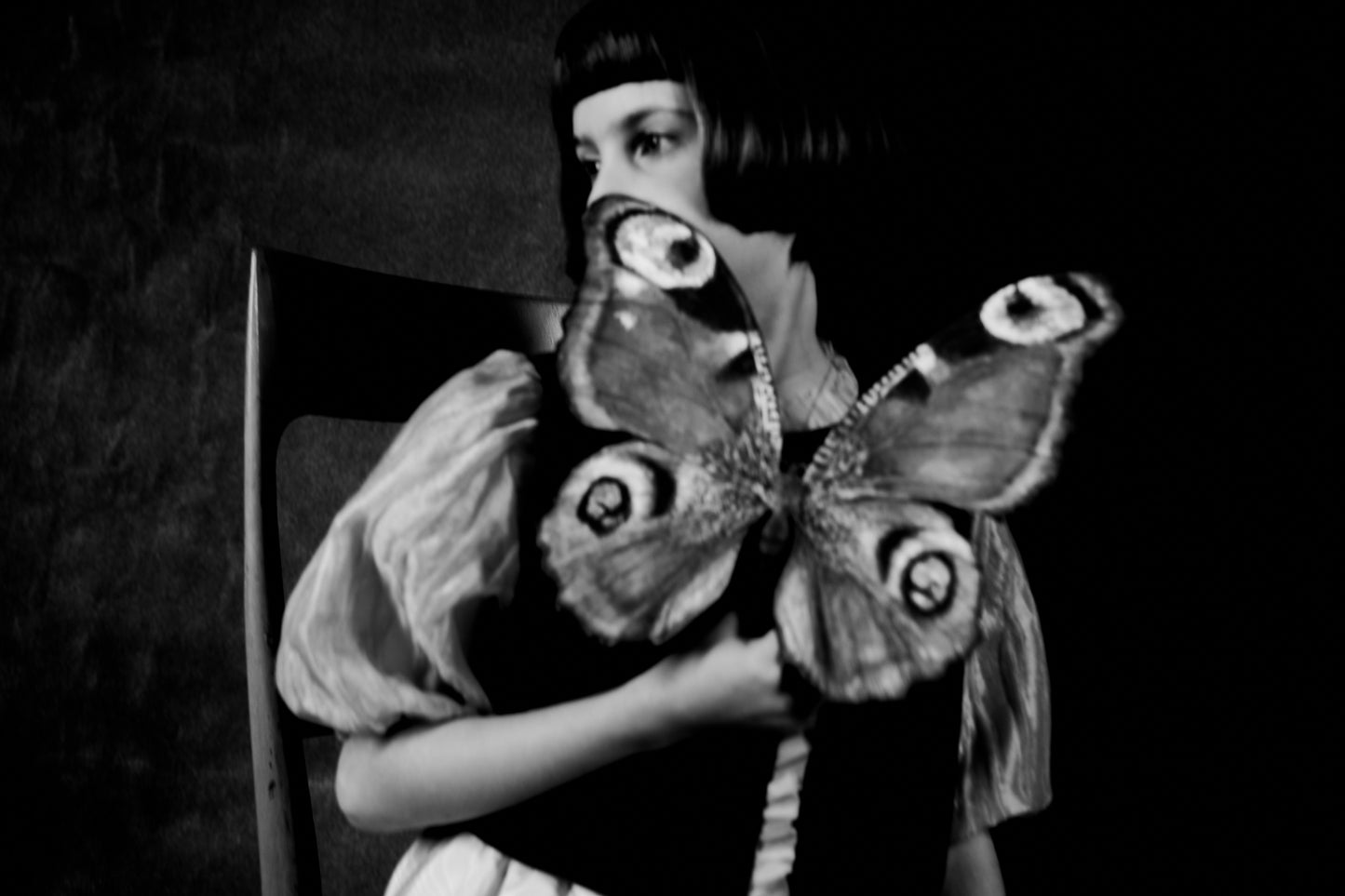 Bolero Gretel e Gonna a ruota
