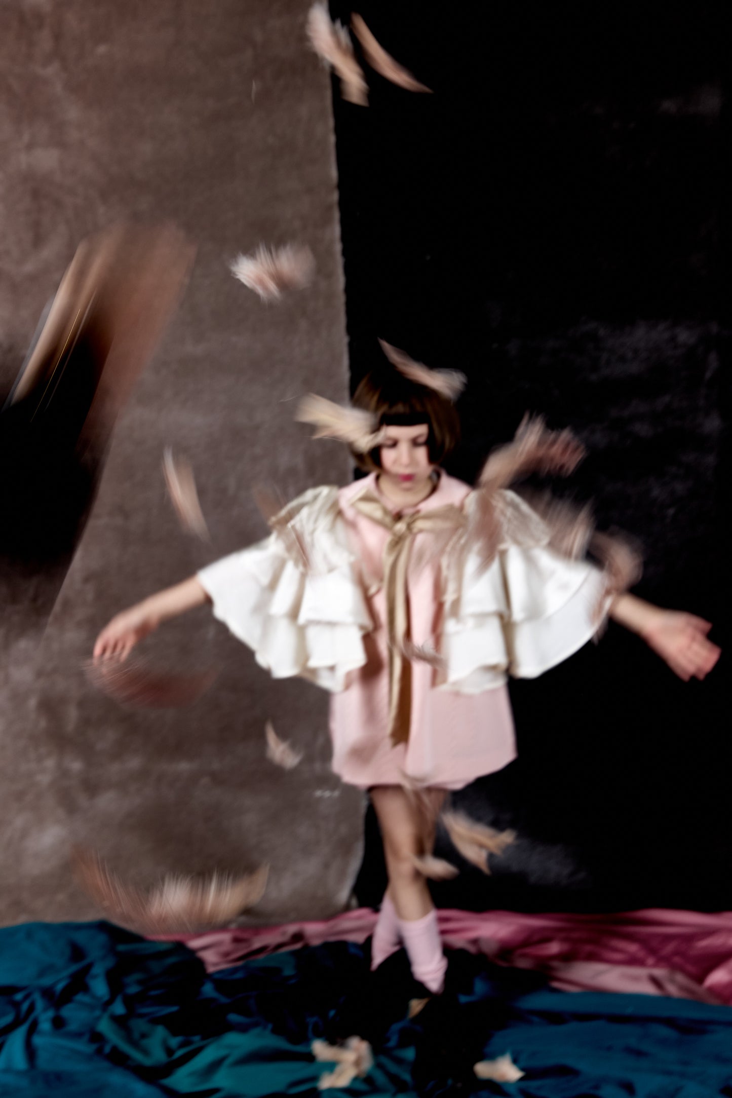 Trench cape Butterfly