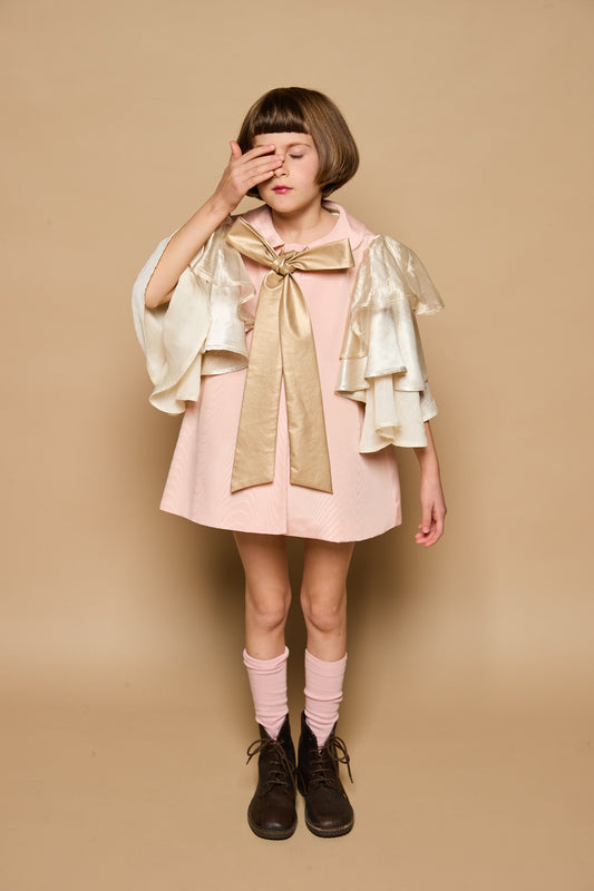 Trench cape Butterfly